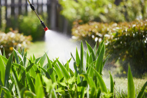 24/7 Emergency Pest Control experts in Barnsdall, OK