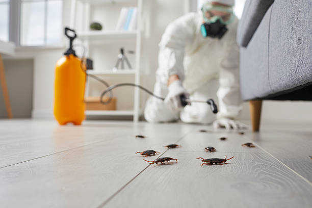 Affordable Pest Control solutions in Barnsdall, OK